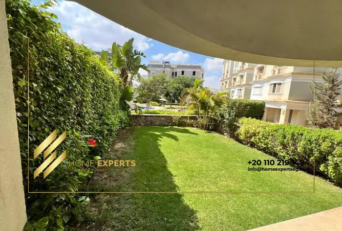 116756332 - Property Image 3