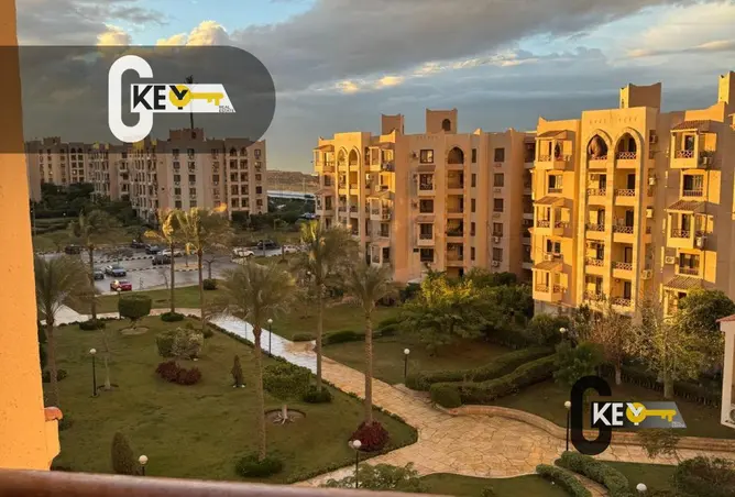 117278049 - Property Image 3