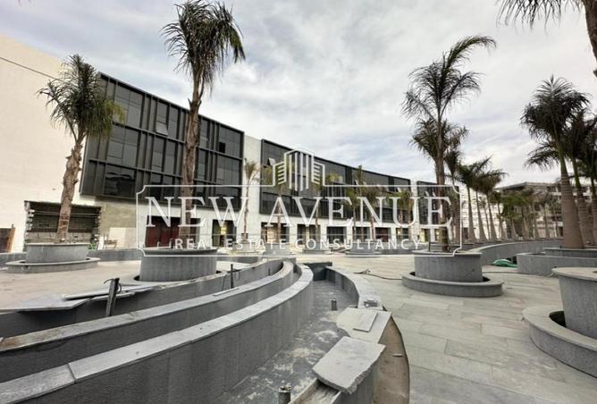 67741791 - Property Image 3