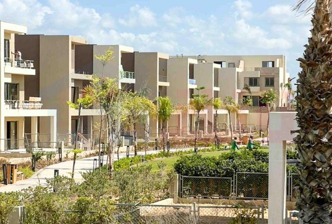 55749295 - Property Image 3