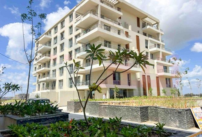 55749295 - Property Main Image