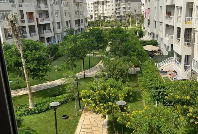 71392811 - Property Image 3