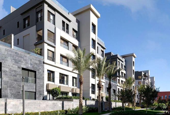 61445574 - Property Image 3