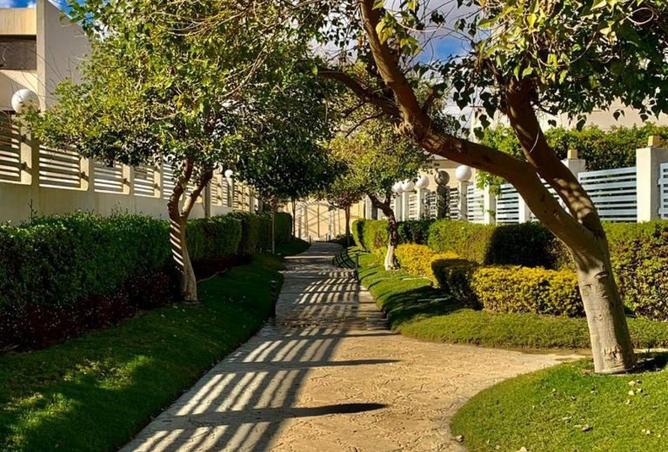 8557926 - Property Image 2