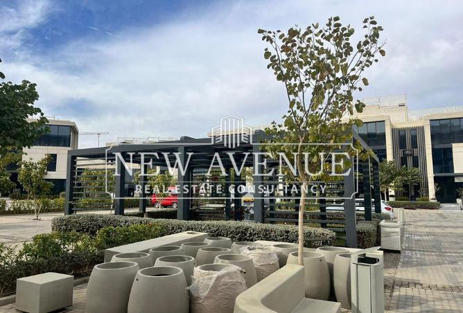 8670555 - Property Image 3