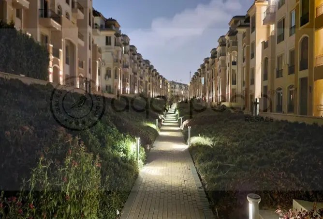 111886887 - Property Image 3