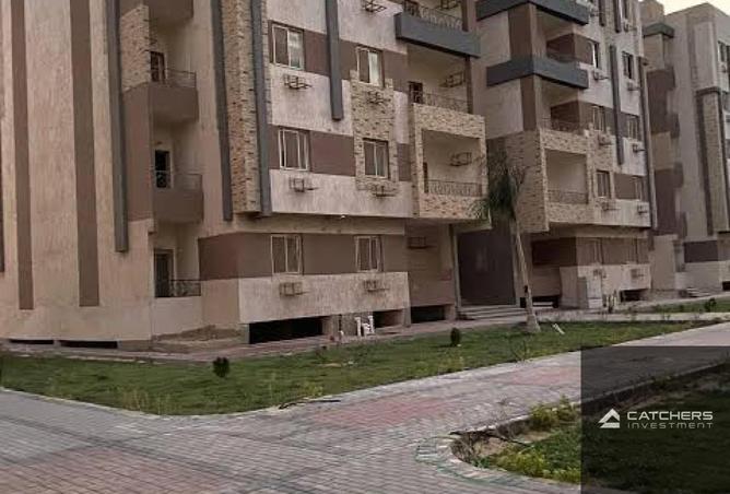 66700617 - صورة العقار 3