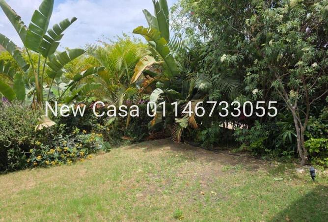 87211541 - Property Image 3