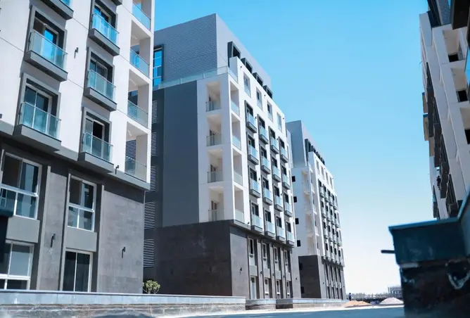 118281294 - Property Image 2