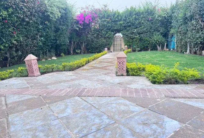 110735572 - صورة العقار 3