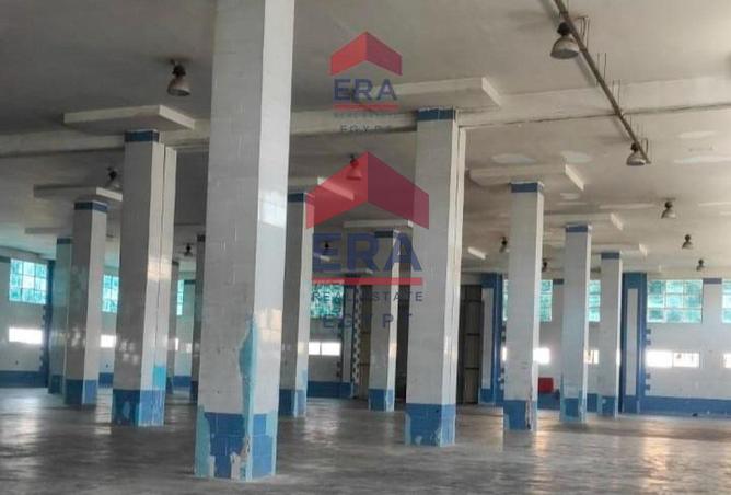 56247167 - صورة العقار 2