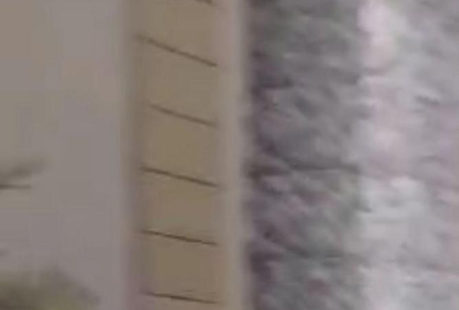 88135633 - صورة العقار 2