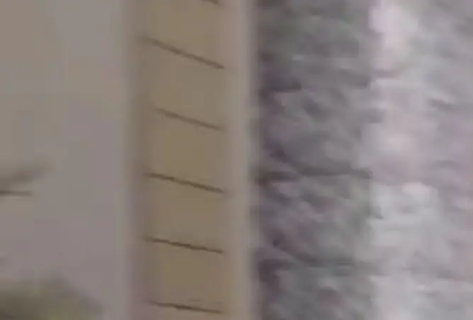 88135633 - صورة العقار 2