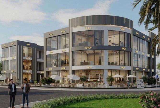 58995787 - صورة العقار 3