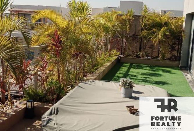 53981481 - صورة العقار 2