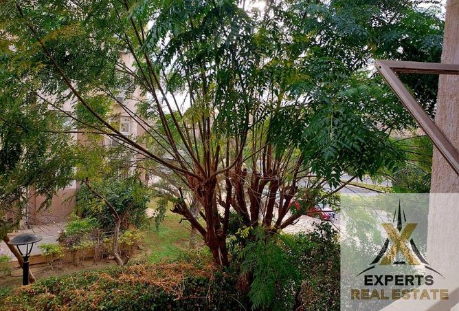 58994652 - صورة العقار 3