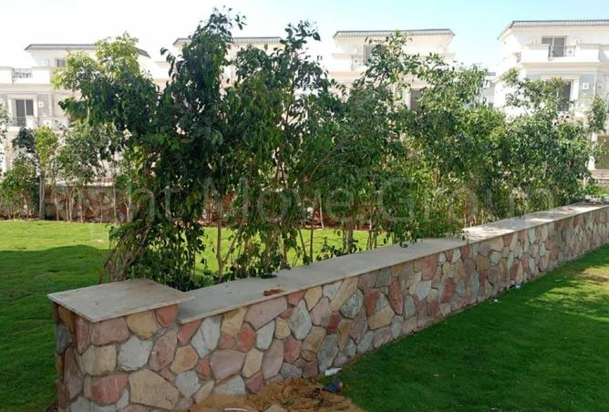 66174228 - صورة العقار 2