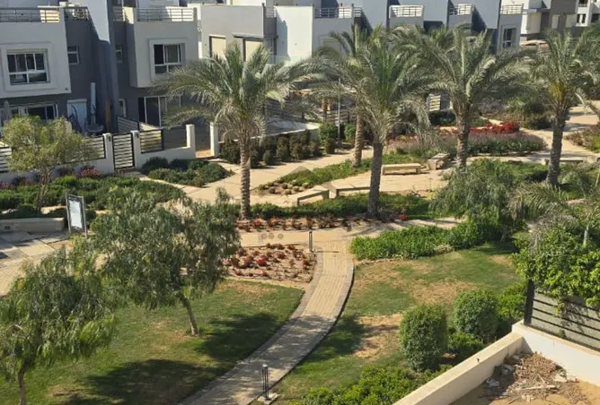 111316526 - صورة العقار 3