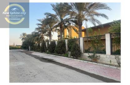قطعة أرض - استوديو للبيع في افق - طريق مصر اسكندرية الصحراوي - مدينة 6 أكتوبر - الجيزة