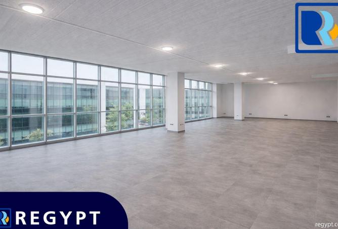 53718116 - Property Image 3