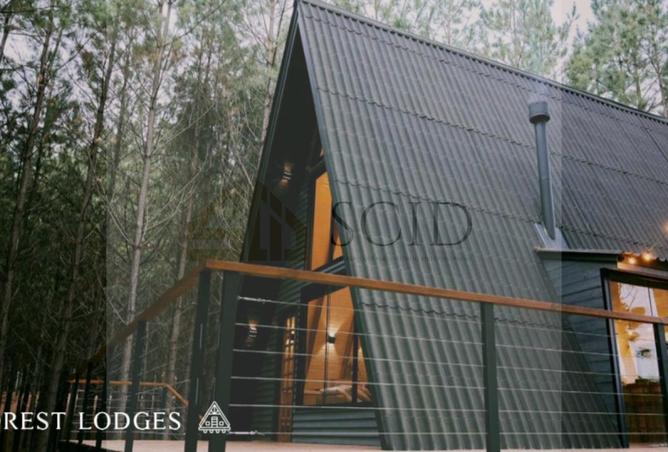 59487182 - Property Image 3