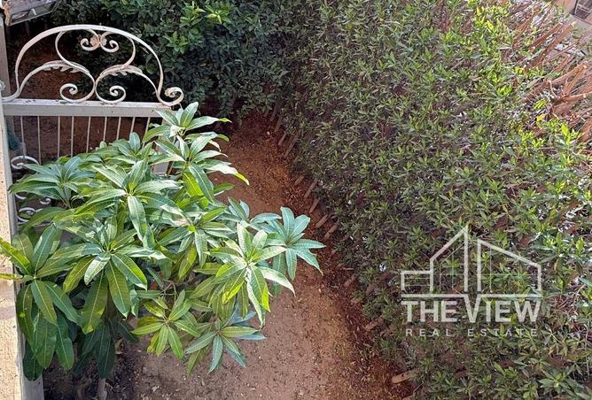 64378589 - صورة العقار 2