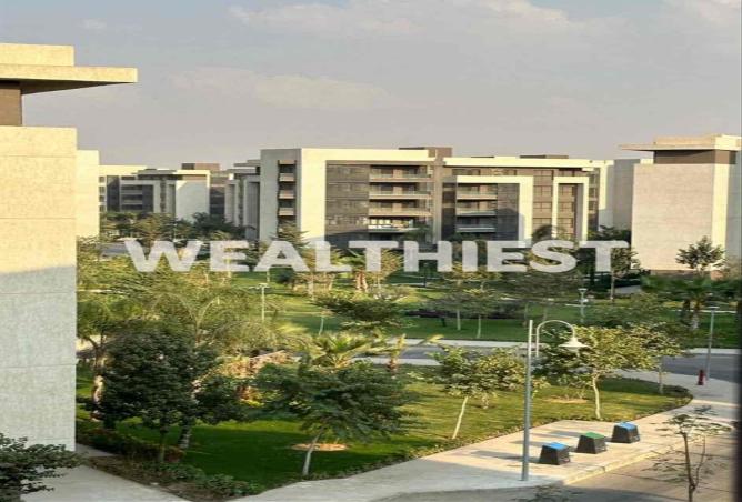 8517446 - صورة العقار 2