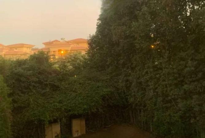 8635904 - صورة العقار 3