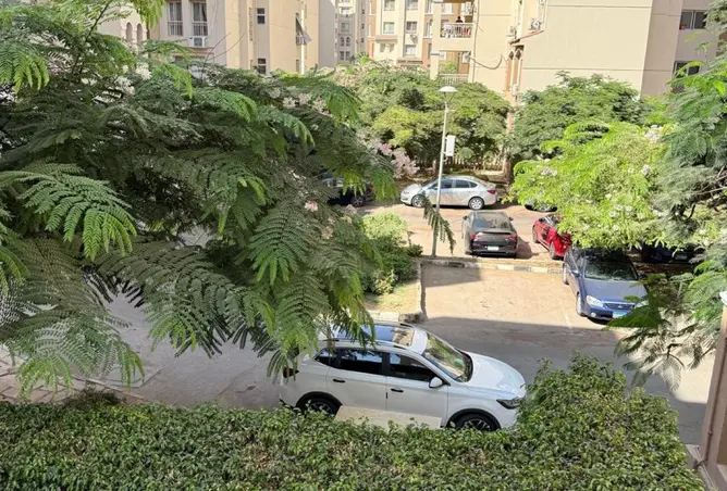 116747849 - صورة العقار 3