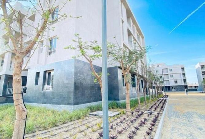 8597229 - صورة العقار 2