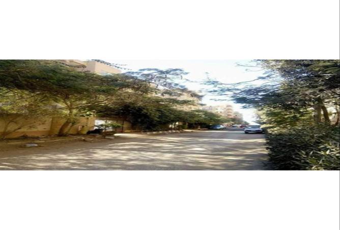 61448376 - صورة العقار 2