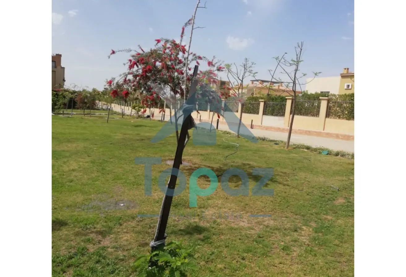 113807279 - Property Main Image