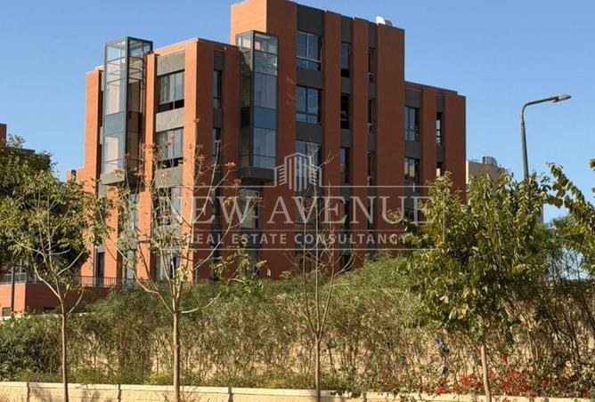 99392043 - Property Image 3