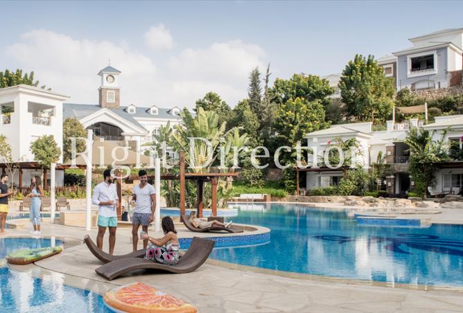 56252679 - Property Image 3