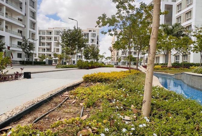 75402394 - Property Image 2