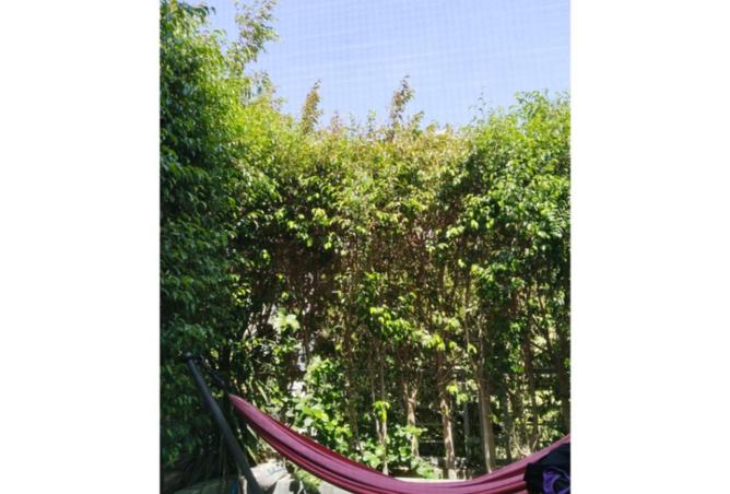 53988313 - Property Main Image