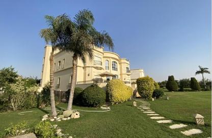 Whole Building - 6 Bedrooms - 7+ Bathrooms for sale in Al Rawdah St. - 3rd District - Sheikh Zayed City - Giza