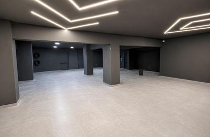 Office Space - Studio for rent in Al Gezira St. - South Investors Area - New Cairo City - Cairo