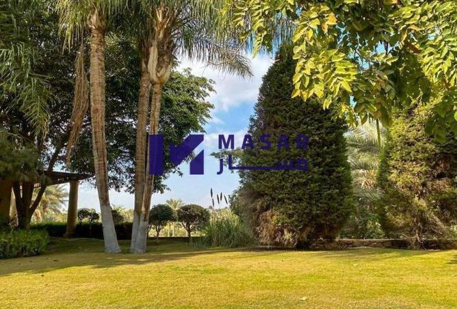 8696440 - صورة العقار 3