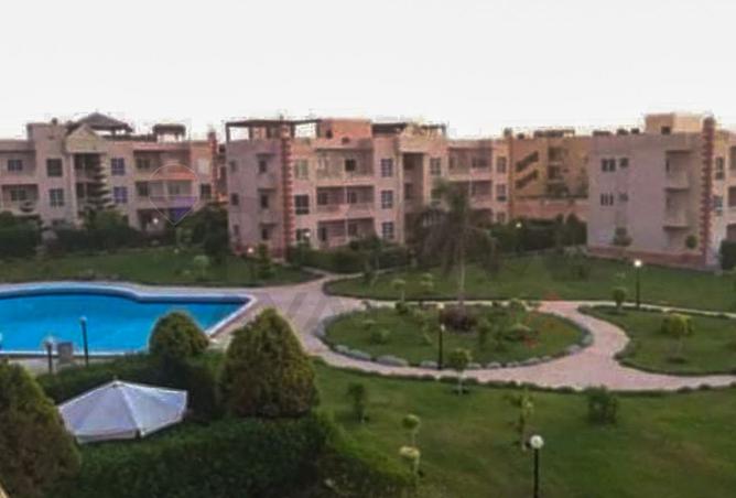 91567874 - صورة العقار 3
