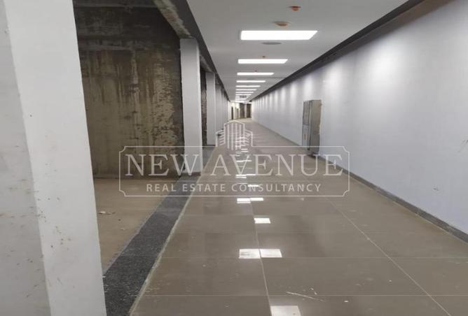 99113620 - Property Image 3