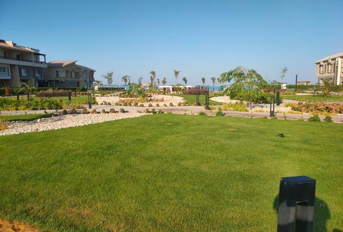 93244566 - Property Image 3