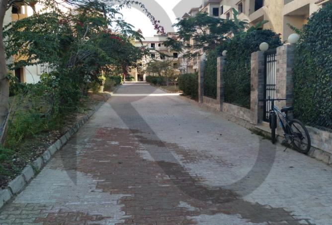 71656681 - صورة العقار 3