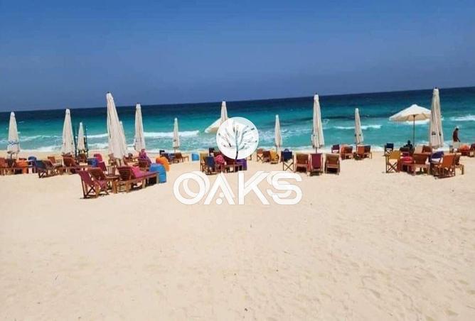 61208922 - Property Image 3