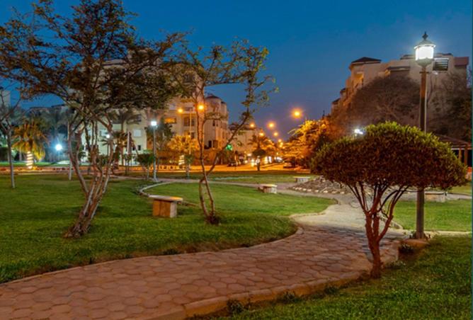 93542358 - صورة العقار 2