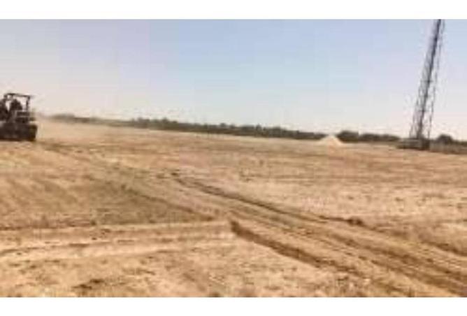 68787742 - صورة العقار 3