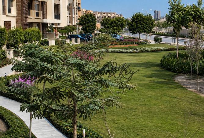 103767827 - صورة العقار 3