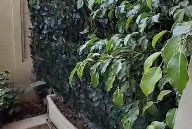 56008331 - الصورة الرئيسية للعقار