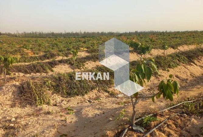 66214922 - صورة العقار 2