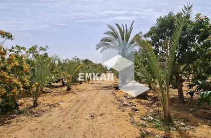 مزرعة - استوديو للبيع في سمالوط - المنيا